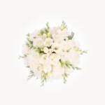 Peaceful Creamy Roses - Image 2